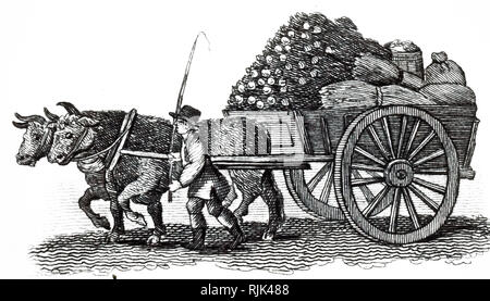 Eine Gravur, die Ochsen ziehen beladene Karre. Vom 19. Jahrhundert Stockfoto