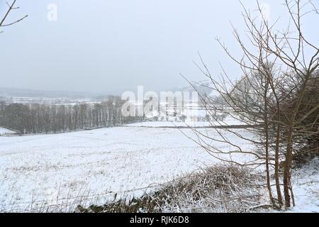 Die English National Park erleben Sammlung Stockfoto