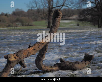 Deutsch land nach Schnee-Hertfordshire, Großbritannien Stockfoto