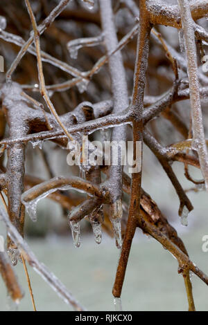 London, Ontario, Kanada. 6. Februar, 2019. Schulen wurden geschlossen und Verkehr wurde verzögert, da die Temperaturen von -5 und Regen im Südwesten von Ontario in Eisbahn und drehte sich um. Credit: Lukas Durda/Alamy leben Nachrichten Stockfoto