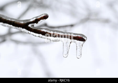 London, Ontario, Kanada. 6. Februar, 2019. Schulen wurden geschlossen und Verkehr wurde verzögert, da die Temperaturen von -5 und Regen im Südwesten von Ontario in Eisbahn und drehte sich um. Credit: Lukas Durda/Alamy leben Nachrichten Stockfoto