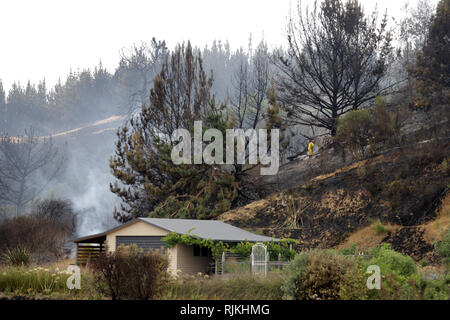 (190207) -- WELLINGTON, Februar 7, 2019 (Xinhua) - Feuerwehrmänner Schlacht ein Buschfeuer im Redwood Valley in Nelson von South Island, Neuseeland, Feb 6, 2019. Ein Buschfeuer gestartet Dienstag in Tasman Region der Südinsel und verursacht 235 Eigenschaften der Umgebung zu evakuieren. Über 400 Menschen wurden aus ihren Wohnungen evakuiert worden, als das Feuer wuchs auf 1.874 Hektar innerhalb von 13 Stunden, nach Angaben der örtlichen Behörden. Das Feuer, das Schlimmste der Region seit den 1980er Jahren schlug, wird wahrscheinlich einige Tage oder mehr dauern gestoppt werden, Tasman Bezirk Bürgermeister Richard Kempthorne sagte den Medien. (Xinhua / Tim Manschette) Stockfoto