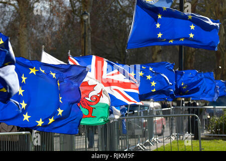 Westminster, London, Großbritannien. 7. Feb 2019. Tägliche SODEM (Stand der Missachtung der Europäischen Bewegung, von Steven Bray gestartet) anti-Brexit Protest außerhalb des Parlaments. Eine gute windigen Tag für Flagge Credit: PjrFoto/Alamy leben Nachrichten Stockfoto