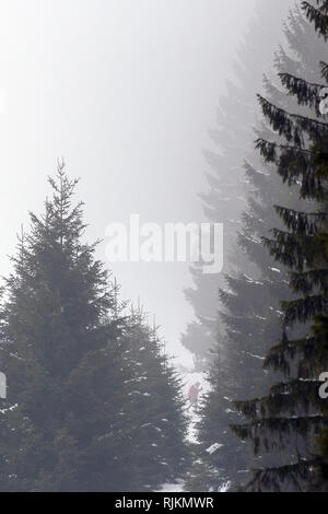 Braunlage, Deutschland. 07 Feb, 2019. Ein Wanderer Spaziergänge durch den Winterwald im Nebel. Im Harz in der Region rund um den Brocken, es wird neblig und bewölkt bleiben in den kommenden Tagen. Credit: Klaus-Dietmar Gabbert/dpa-Zentralbild/ZB/dpa/Alamy leben Nachrichten Stockfoto