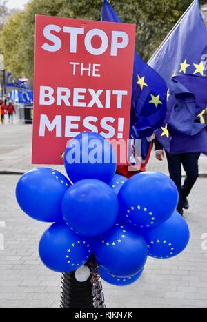 London, Großbritannien. 7. Feb 2019. SODEM Anti Brexit Protest, Houses of Parliament, London.UK Credit: michael Melia/Alamy leben Nachrichten Stockfoto