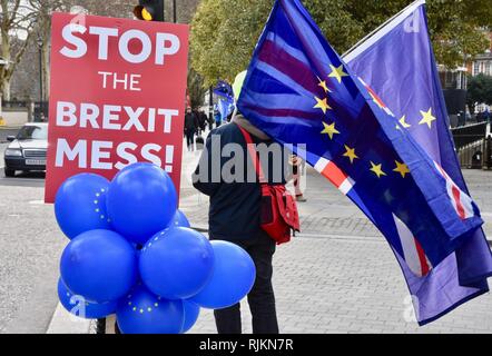 London, Großbritannien. 7. Feb 2019. SODEM Anti Brexit Protest, Houses of Parliament, Westminster, London.UK Credit: michael Melia/Alamy leben Nachrichten Stockfoto