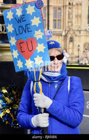 London, Großbritannien. 7. Feb 2019. SODEM Anti Brexit Protest, Houses of Parliament, London.UK Credit: michael Melia/Alamy leben Nachrichten Stockfoto