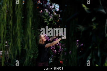 (190207) -- LONDON, Februar 7, 2019 (Xinhua) - Kew Gärtner Hannah-Taste setzt den letzten Schliff für den Gartenbau Anzeige von Kew Orchid Festival 2019 in Kew Gardens in London statt, der Hauptstadt von Großbritannien, Februar 7, 2019. Ab Februar 9. bis 10. März, das Festival ist auf dem Land von Kolumbien zum ersten Mal gestaltet und verfügt über 6.200 farbenprächtige Orchideen und Hunderte von anderen tropischen Pflanzen. (Xinhua / Han Yan) Stockfoto