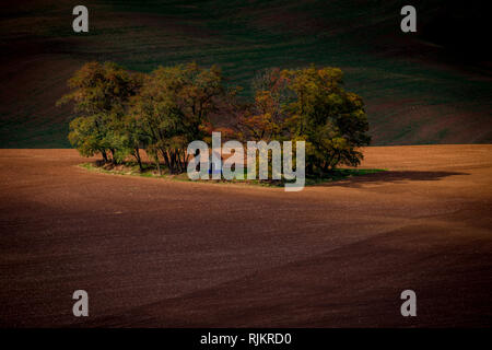 Schöne bunte Herbst Landschaft mit weißen kleinen Kapelle St. Barbara in wellige Felder. Südmähren. Der Tschechischen Republik Stockfoto