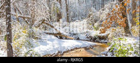 Eine winterliche malerische Szene mit ein Bach und ein Hauch von Farbe von baum laub an einem hellen, sonnigen Tag. Hohe Sättigung und hebt die Colo zu machen Stockfoto