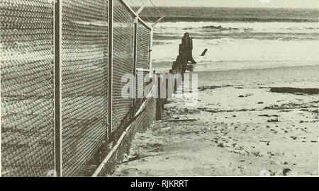 . Strand Erosion und akkretion am Virginia Beach, Virginia und Umgebung. Strand Erosion; Litoralen Drift; Sedimente (Geologie). 5. August 1975. 25. November 1975 04. Bitte beachten Sie, dass diese Bilder sind von der gescannten Seite Bilder, die digital für die Lesbarkeit verbessert haben mögen - Färbung und Aussehen dieser Abbildungen können nicht perfekt dem Original ähneln. extrahiert. Goldsmith, Victor; Sturm, Susan C; Thomas, George R., 1946, -; Coastal Engineering Research Center (U S.). Fort Belvoir, Va: Das Zentrum; Springfield, Virginia: von nationalen Technische Informationen Service verfügbar Stockfoto