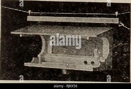 . Barnard's Samen, Blumenzwiebeln, Stauden 1918. Samen Samen Kataloge Kataloge; Gemüse; Blumen Samen Samen Kataloge Kataloge; Obst; Baumschulen (Gartenbau) Kataloge. Wren, $ 4.50, $ 3.00. Fütterung Auto, $ 4,00. Bitte beachten Sie, dass diese Bilder sind von der gescannten Seite Bilder, die digital für die Lesbarkeit verbessert haben mögen - Färbung und Aussehen dieser Abbildungen können nicht perfekt dem Original ähneln. extrahiert. W. W. Barnard &Amp; Co; Henry G. Gilbert Baumschule und Saatgut Handel Katalog Kollektion. Chicago, Illinois: Barnard Stockfoto