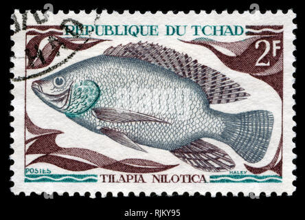 Poststempel Stempel aus dem Tschad in den einheimischen Süßwasserfische Serie 1969 ausgestellt Stockfoto