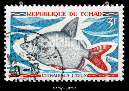 Poststempel Stempel aus dem Tschad in den einheimischen Süßwasserfische Serie 1969 ausgestellt Stockfoto