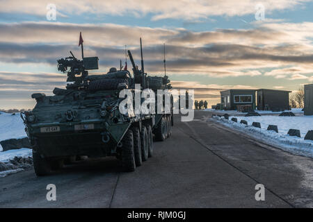 Soldaten zu Charlie Truppe, 1.Staffel, 2d-Cavalry Regiment aus Vilseck, Deutschland zugewiesen, für eine Live Fire Übung auf Palette 35 an der Truppenübungsplatz Baumholder, Baumholder, Deutschland, Feb 4, 2019 vorbereiten. 1/2CR führt derzeit den Betrieb Kriegsadler platoon-taktischen Kenntnisse, squadron Unterstützung Wirksamkeit und die gesamten organisatorischen Letalität zu entwickeln. (U.S. Armee Foto von Erich Backes). Stockfoto