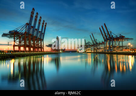 Container Terminal Burchardkai im Hamburger Hafen während der blauen Stunde Stockfoto