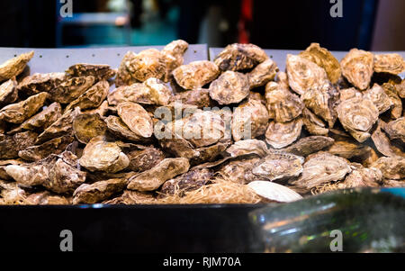 Austern auf den Zähler in Kisten aus Holz, auf dem Markt. Austern zum Verkauf an der Seafood Market. Fisch Marktstand voller frischer shell Austern. Frische oys Stockfoto