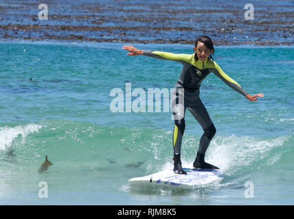 Kinder surfen Stockfoto