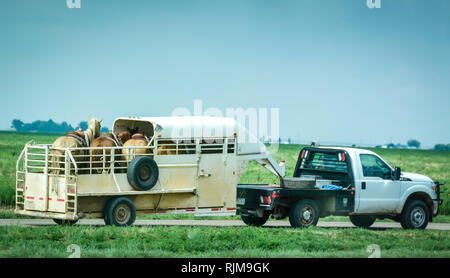 Ein Lkw ziehen vier gesattelte Pferde in Horse Trailer auf Frontage Road entlang der Route 66 in Texas Stockfoto