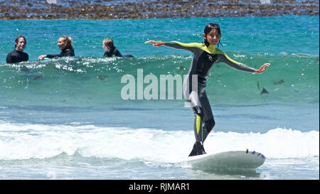 Kinder surfen Stockfoto