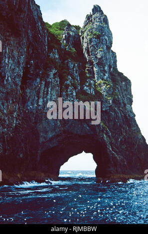 Loch im Felsen, Bucht von Inseln, Neuseeland Stockfoto