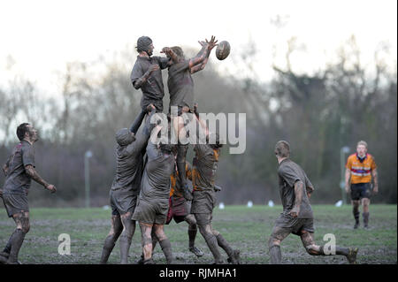 Muddy rugby spieler Springen für die Kugel in einem Line out Stockfoto