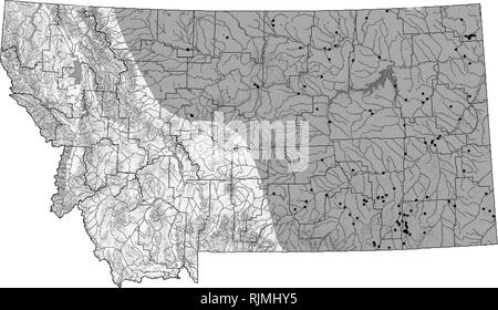 . Montana Amphibien und Reptilien status Assessment, Literatur und Erhaltung Plan. Amphibien und Reptilien; Indikatoren (Biologie); Lebensraum (Ökologie); Artenschutz. Western Hog-spitzzange Heterodon nasicus Snake {) Up-to-date Verbreitung und Status Informationen können auf TRACKER website die Montana natürlichen Erbes Programm an mtnhp.org. gefunden werden Verteilung/Taxonomie der westlichen Hog-gerochene Schlange ist vor allem in den nördlichen Great Plains, angefangen von Southern Alberta nach Süden entlang der nordöstlichen New Mexiko und Oklahoma, im Norden und Nordosten zu Illinois, Wisconsin gefunden und Nort Stockfoto