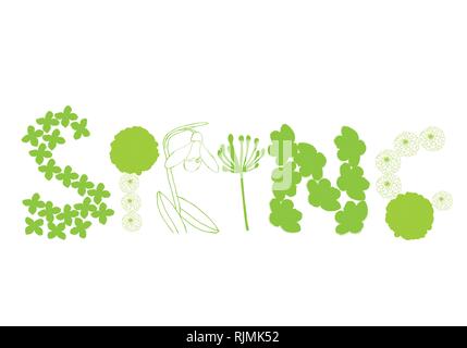 Hand blume frühling Vektor Karte Vorlage in grünen und weißen Farben Palette gezogen Stock Vektor