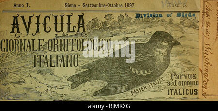 . Avicula: giornale ornitologico Italiano. Ornithologie. Anno I, Conto corrente con La Posta Siena - Setttembre-Ottobre 1897. JTAUCUS ich 65 OS ein U o per lo Studio dell'Avifauna italica e pro tutto Quanto ha relazione con gli Uccelli in generale Caccia, allevamento, Nutrizione, acclimatazione, propagazione, malattie, emigrazioni/^ classificazione, anatomia, fisiologia, embriologia, oologia, nidologia, falconeria, pollicoltura, Col ^S^a lombicoltnra, varietÃ, mostruositÃ, ibridismi, ornitologia Agraria, distribuzione geografica utilitÃ e Danni delle varie Specie, paleornitologia, ecc. ecc. S^Si Stockfoto