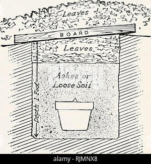. Beckert von Glühlampen. Baumschulen (Gartenbau) Pennsylvania Pittsburgh Kataloge; Baumschulen Pennsylvania Pittsburgh Kataloge; Gemüse Samen Pennsylvania Pittsburgh Kataloge; Blumen Samen Pennsylvania Pittsburgh Kataloge, Leuchtmittel (Pflanzen) Pennsylvania Pittsburgh Kataloge. Querschnitt der Lampe Topf, hyazinthe Glühbirne in die Erde gepflanzt. Hinweis Stück Keramik über Loch im Boden für die Entwässerung. In irgendwelche oder alle diese Orte, die Bedingungen der dark-ness und Coolness muss erhalten werden. Wenn Sie platziert - Türen in den Gräben, die schließlich sind mit Erde gefüllt, so wie ungefähr 6 Zoll über den Topf abdecken, keine Stockfoto
