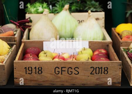 Zwiebeln im Zelt produzieren am Malvern Herbst zeigen, auf der drei Grafschaften Showground, Malvern, Worcestershire, England. Sept 2018 Stockfoto