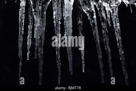 Anzahl der natürlichen Eiszapfen auf einem schwarzen Hintergrund. gefrorenes Wasser im Winter. Stockfoto