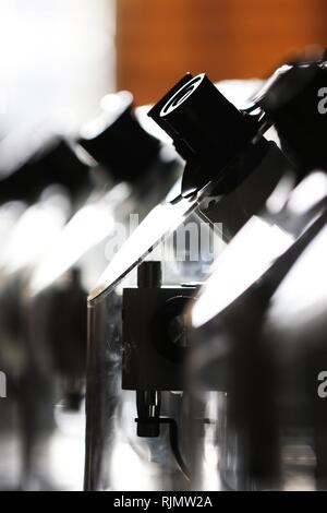 Micro Künstler Willard Wigan MBE Wer macht Skulpturen, die in das Auge einer Nadel anbringen, dargestellt in seiner Ausstellung in Broadway, Worcestershire. Stockfoto