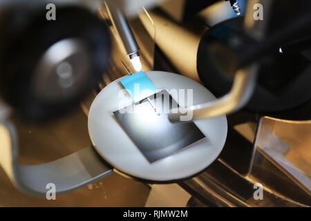 Micro Künstler Willard Wigan MBE Wer macht Skulpturen, die in das Auge einer Nadel anbringen, dargestellt in seiner Ausstellung in Broadway, Worcestershire. Stockfoto