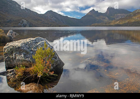 Dove Lake und Cradle Mountain Stockfoto