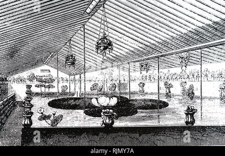 Eine Gravur, Aquarium Victoria Regia zu Haus gebaut, bei Knight und Perry's Kinderzimmer, King's Rood, Chelsea, London. 1851 Stockfoto