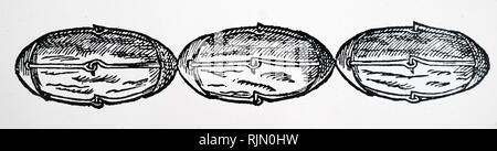 Abbildung: Lodestones bewaffnet mit Bügeleisen Kappen, die den Magnetismus konzentrieren, können mehr Gewicht als Unarmierten zu heben. Von William Gilbert De Magnete, London, 1600. Stockfoto