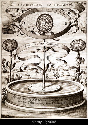 Abbildung: Die magnetische Kraft der Sonne wie eine Sonnenblume, die die Zeit des Tages. Es ist die falsche hermetische Nutzung von Theorien des Magnetismus, die Sonnenblumen. Von Athanasius Kircher Magnes sive de arte Magnetica, Köln ,1643 Stockfoto