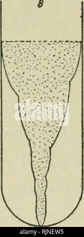 . Bakteriologische Verfahren in der Nahrung und Droge Labors, eine Einführung in die mikro-analytischen Methoden. Bakteriologie; Lebensmittel; Droge Verfälschung. . Bitte beachten Sie, dass diese Bilder sind von der gescannten Seite Bilder, die digital für die Lesbarkeit verbessert haben mögen - Färbung und Aussehen dieser Abbildungen können nicht perfekt dem Original ähneln. extrahiert. Schneider, Albert, 1863-1928. Philadelphia, S. Blakiston's Sohn &Amp; Co Stockfoto