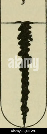 . Bakteriologische Verfahren in der Nahrung und Droge Labors, eine Einführung in die mikro-analytischen Methoden. Bakteriologie; Lebensmittel; Droge Verfälschung. . Bitte beachten Sie, dass diese Bilder sind von der gescannten Seite Bilder, die digital für die Lesbarkeit verbessert haben mögen - Färbung und Aussehen dieser Abbildungen können nicht perfekt dem Original ähneln. extrahiert. Schneider, Albert, 1863-1928. Philadelphia, S. Blakiston's Sohn &Amp; Co Stockfoto