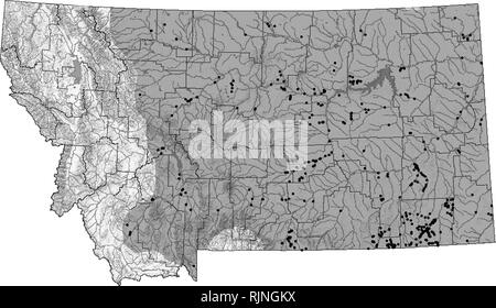 . Montana Amphibien und Reptilien status Assessment, Literatur und Erhaltung Plan. Amphibien und Reptilien; Indikatoren (Biologie); Lebensraum (Ökologie); Artenschutz. Ebenen Spadefoot (Spea Bombifrons) Up-to-date Verbreitung und Status Informationen über TRACKER website die Montana natürlichen Erbes Programm an mtnhp.org. gefunden werden kann. Verteilung/Taxonomie gibt es derzeit eine Diskussion darüber, ob die Ebenen spadefoot und anderen westlichen spadefoots in der Gattung oder Spea oder Scaphiopus (Halle 1998) gelegt werden sollte. Aber, unabhängig von der generischen Namen, eine einzelne eindeutige Sorte ist re Stockfoto