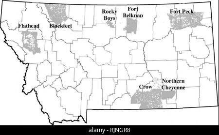 . Montana Amphibien und Reptilien status Assessment, Literatur und Erhaltung Plan. Amphibien und Reptilien; Indikatoren (Biologie); Lebensraum (Ökologie); Artenschutz. Das Vorhandensein und den Status Ränge für Amphibien und Reptilien auf Stammes- Länder in Montana. Erbe Status Programm Reihen und Notationen auf Arten Präsenz sind in der folgenden Tabelle für jedes der indischen Reservierungen in Montana aufgeführt. Tribal Fisch und Tierwelt Abteilungen haben die Verantwortung für das Management von Amphibien und Reptilien auf jeder Reservierung und als unabhängige Nationen, jeder Stamm entscheidet unabhängig der Status design Stockfoto