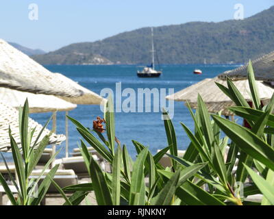 Strand mit Sonnenliegen und tropischen Pflanzen an der Küste. Boote in der Bucht, Insel Stockfoto