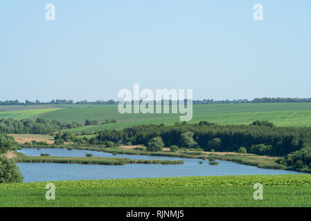 Teich im Sommer, Georgios Tovtry Nationalpark, Ukraine Stockfoto