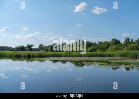 Teich im Sommer, Georgios Tovtry Nationalpark, Ukraine Stockfoto