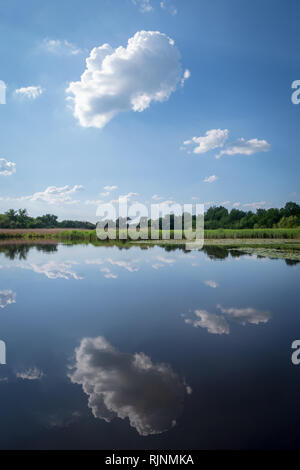 Teich im Sommer, Georgios Tovtry Nationalpark, Ukraine Stockfoto