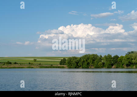 Teich im Sommer, Georgios Tovtry Nationalpark, Ukraine Stockfoto