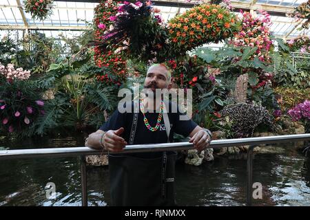 Kew Orchid Festival: Feiern Sie die Farbe von Kolumbien vom 9. Februar bis März 2019 Stockfoto