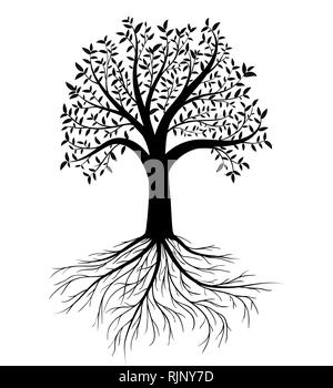 Vektor Silhouette der Baum mit Blättern und Wurzeln Stock Vektor