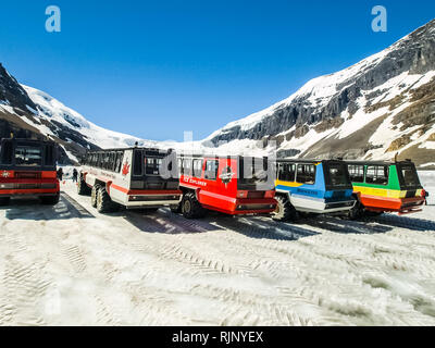 In den Bergen der Cordillera, Kanada - 14. März 2017: Busse von Geländewagen in die schneebedeckten Berge der Cordillera. Stockfoto